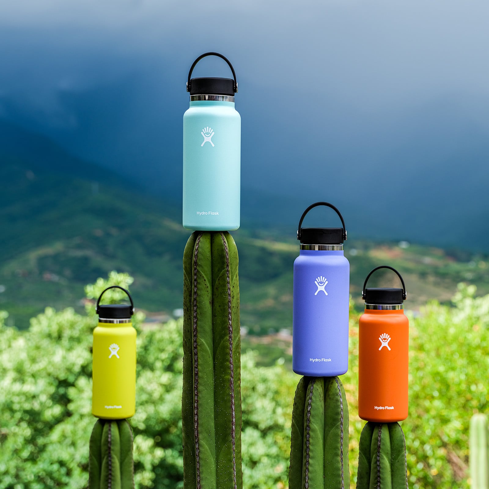 VARIANT|Color|Agave|4