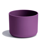 Beachplum Purple